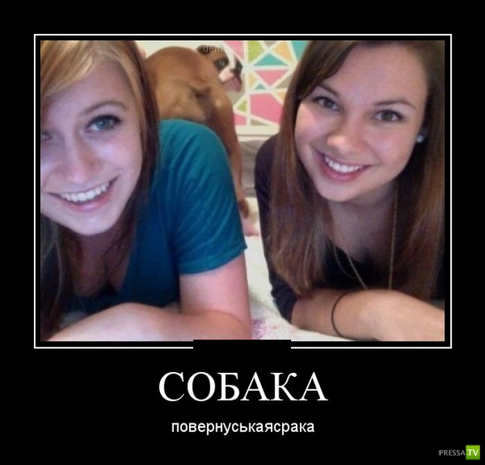 ������������ �� ������, ����� 17 (30 ����)