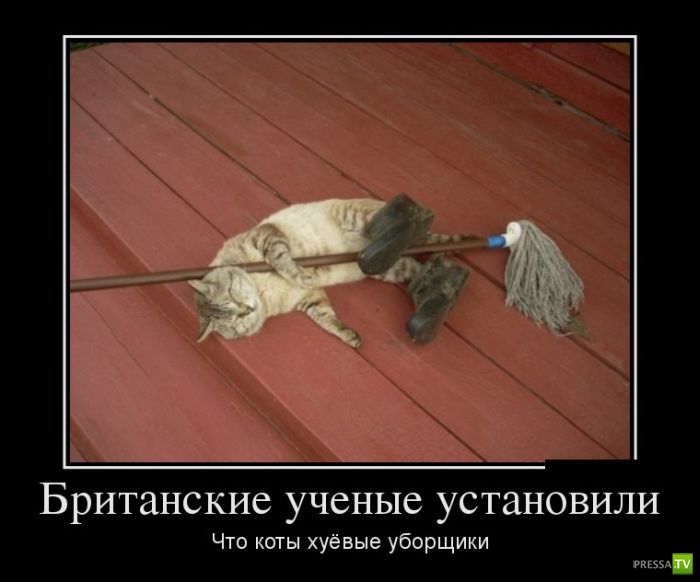 ������������ �� ������, ����� 17 (30 ����)