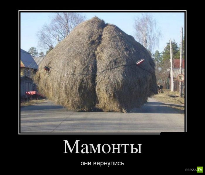 ������������ �� ������, ����� 17 (30 ����)