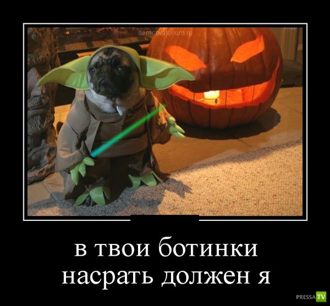 ������������ �� ������, ����� 17 (30 ����)