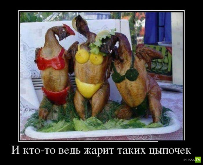 ������������ �� ������, ����� 18 (31 ����)