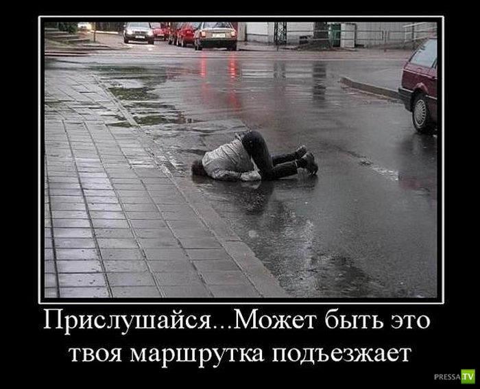 ������������ �� ������, ����� 18 (31 ����)