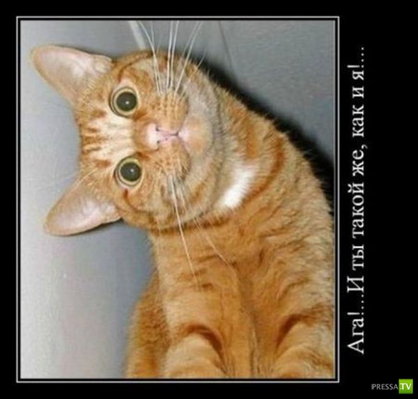 ������������ �� ������, ����� 18 (31 ����)