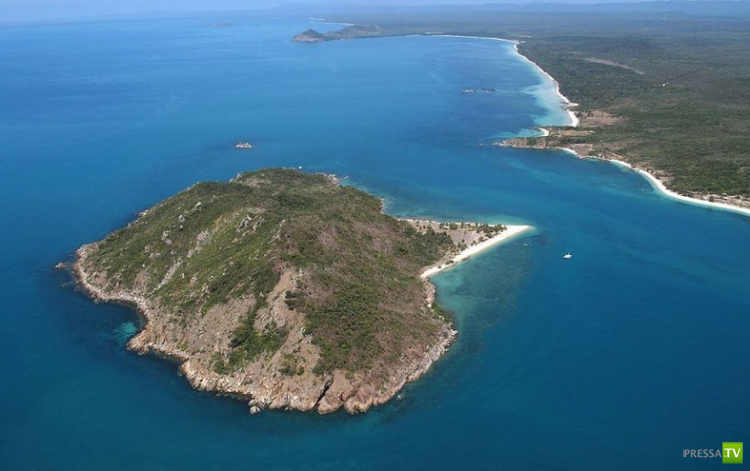 ����������� �������� � ��������� (7 ����)