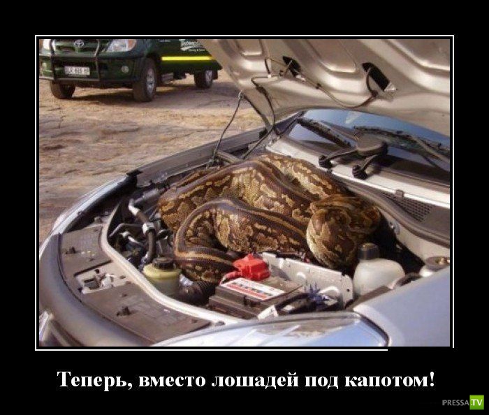 ������������ �� ������, ����� 19 (30 ����)