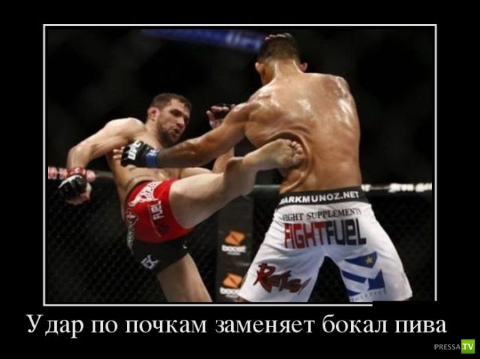 ������������ �� ������, ����� 19 (30 ����)