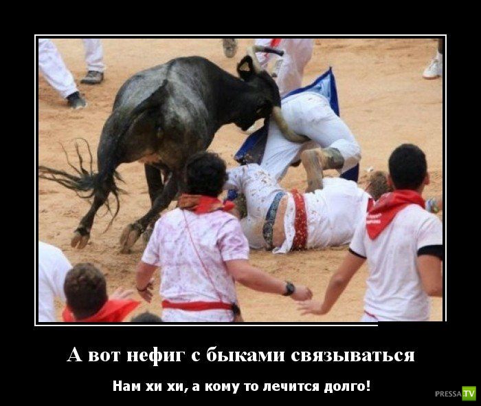 ������������ �� ������, ����� 19 (30 ����)