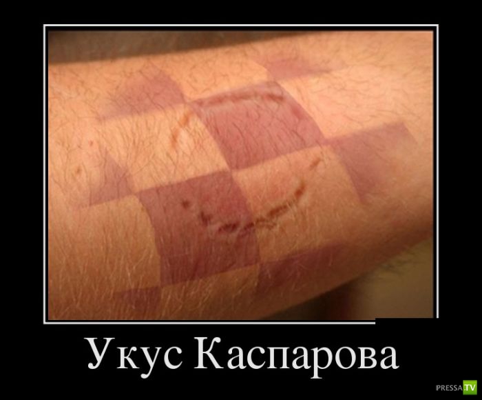 ������������ �� ������, ����� 19 (30 ����)