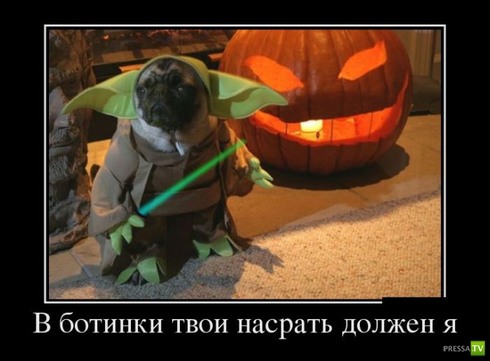 ������������ �� ������, ����� 19 (30 ����)