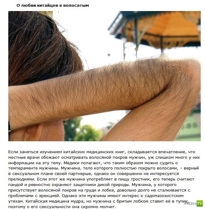 ���������� ����� � ����� (11 ����)