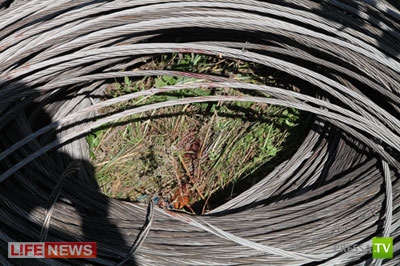 ������ ������� � ������� � ���� (2 ����)