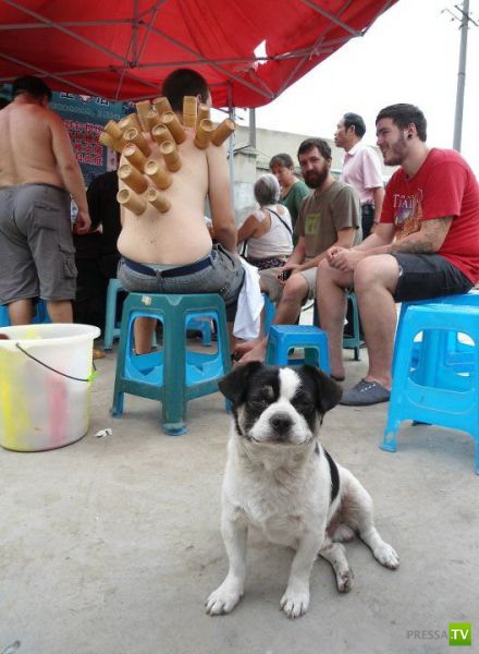 ���������� ����������, ������ 30 (81 ����)