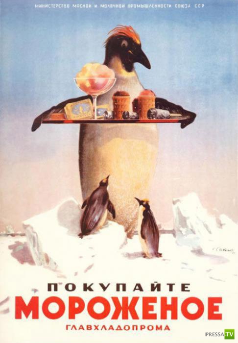 ��������� ��������� - ������ � ���� (13 ����)