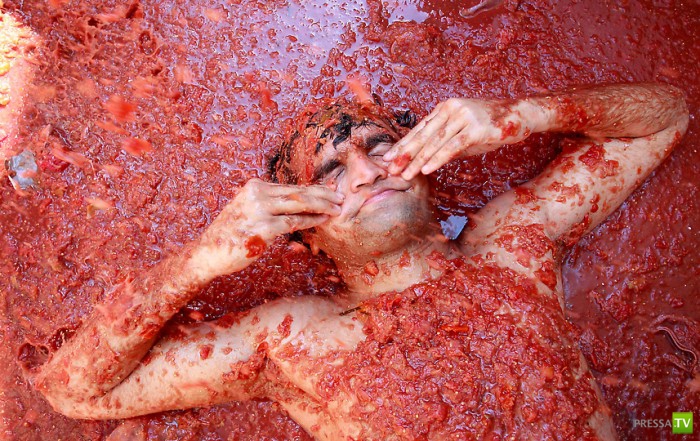 La Tomatina -     ,  (25 )