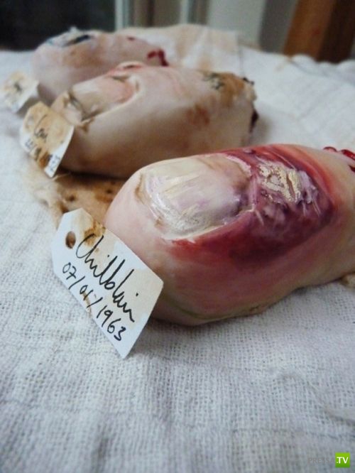 Креативные печеньки... Жесть!!! (7 фото) Креативные печеньки... Жесть!!! (7 фото)