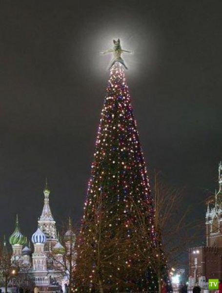 ������� ������� (44 ����)