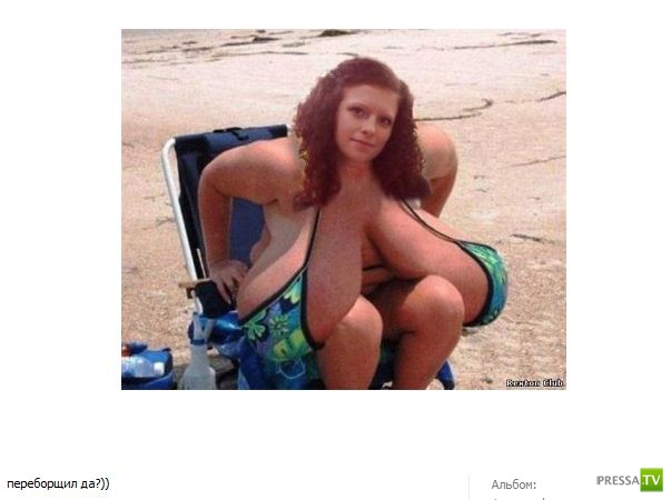 ������� ������� (44 ����)