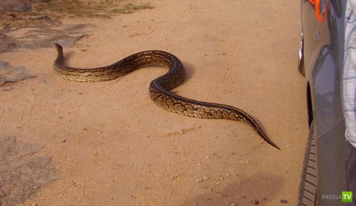 ������ ������� ��� ������� ���� (6 ����)