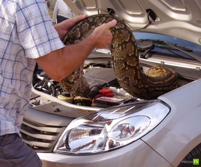 ������ ������� ��� ������� ���� (6 ����)