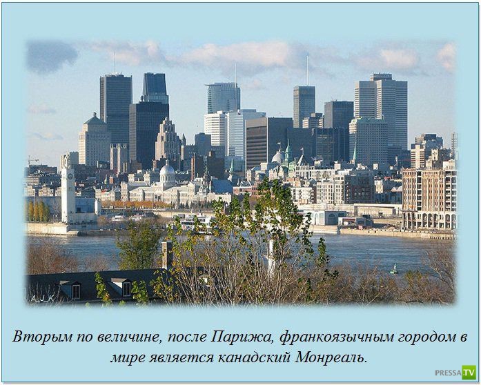 ���������� � �������������� ����� ��� ���� (21 ����)