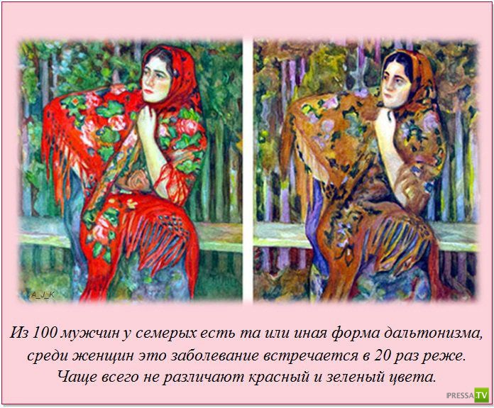 ���������� � �������������� ����� ��� ���� (21 ����)