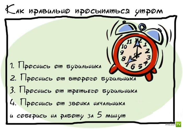 ������� ������ �� ������ ���� (19 ����)