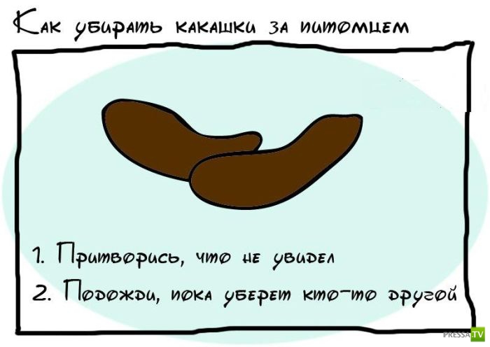 ������� ������ �� ������ ���� (19 ����)