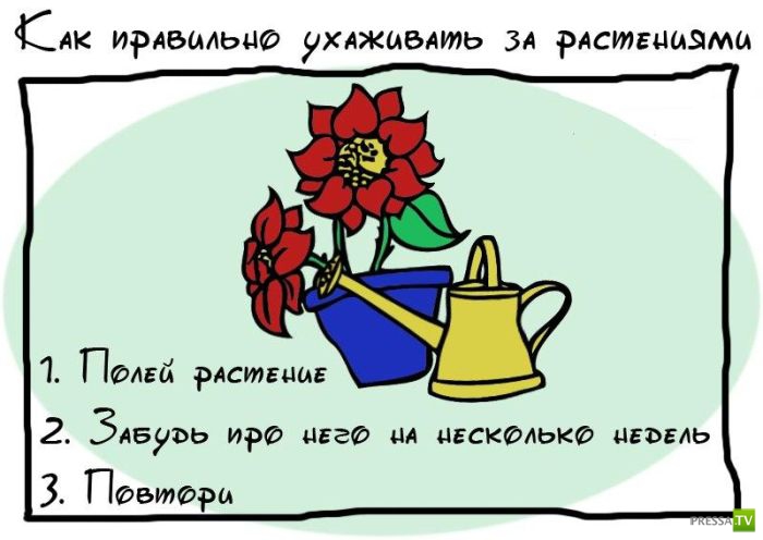 ������� ������ �� ������ ���� (19 ����)