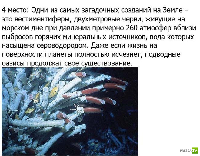 �����, �������������� ���������� �� ����� ����������� (11 ����)