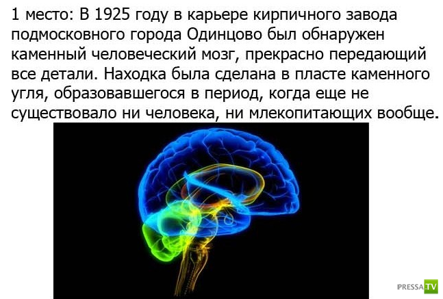 �����, �������������� ���������� �� ����� ����������� (11 ����)