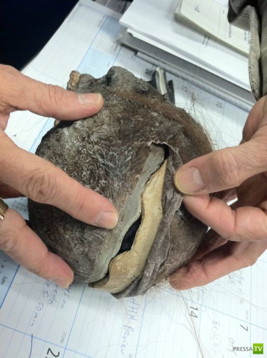 ���������� ����������� �� �������� (7 ����)