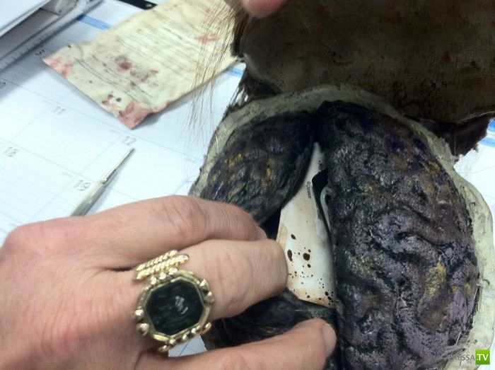 ���������� ����������� �� �������� (7 ����)