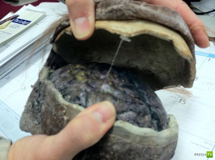 ���������� ����������� �� �������� (7 ����)