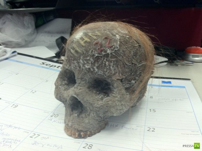 ���������� ����������� �� �������� (7 ����)