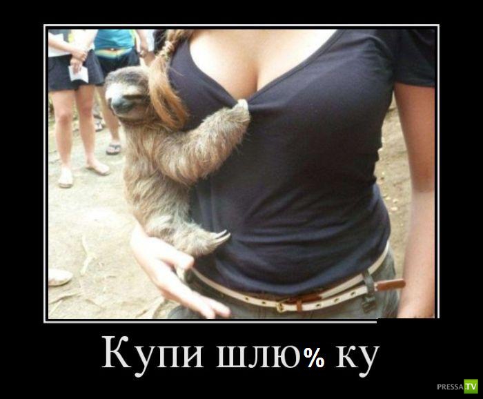 ������������ �� ������� 9 (28 ����)