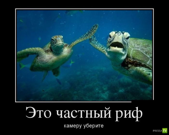 ������������ �� ������� 9 (28 ����)