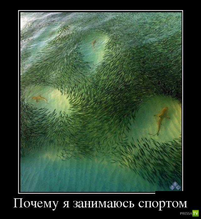 ������������ �� ������� 9 (28 ����)