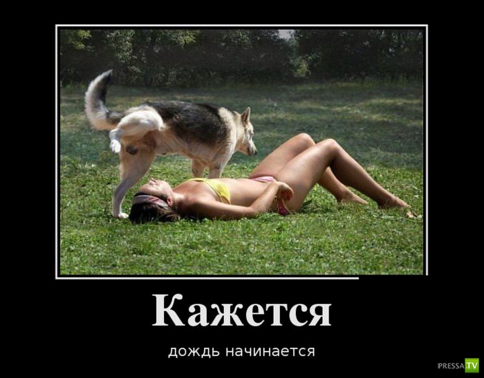 ������������ �� ������� 10, (29 ����)