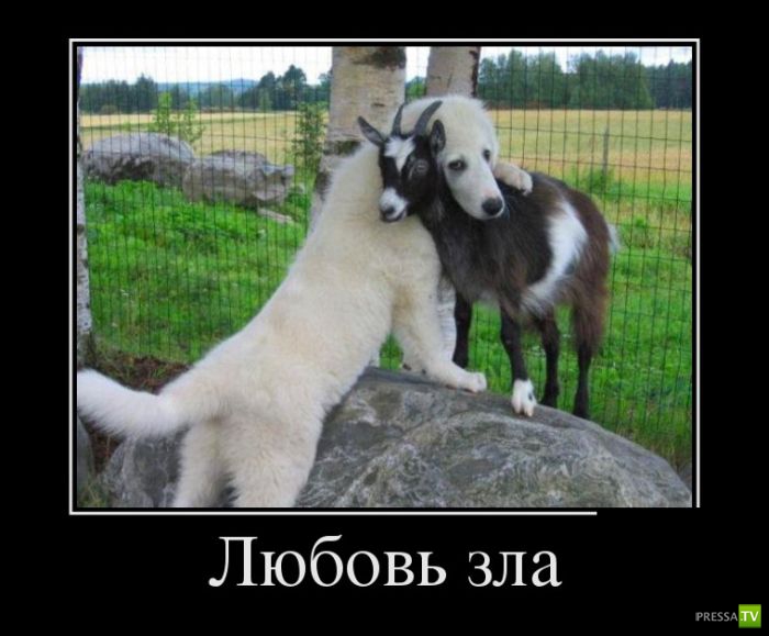 ������������ �� ������� 10, (29 ����)