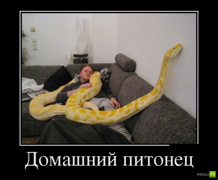 ������������ �� ������� 10, (29 ����)