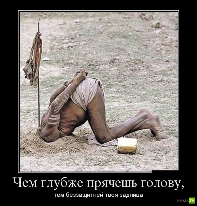 ������������ �� ������� 10, (29 ����)