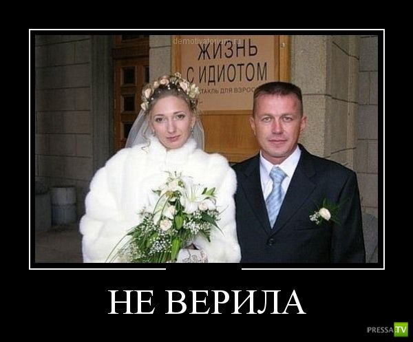 ������������ �� ������� 11 (31 ����)