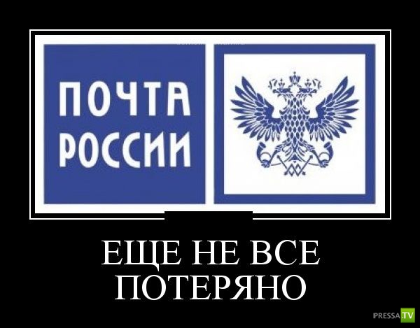 ������������ �� ������� 11 (31 ����)