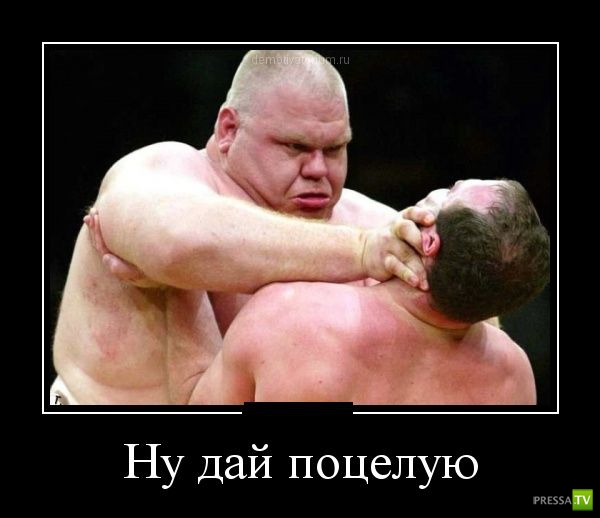 ������������ �� ������� 11 (31 ����)