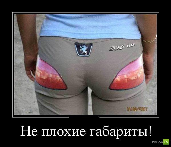 ������������ �� ������� 11 (31 ����)