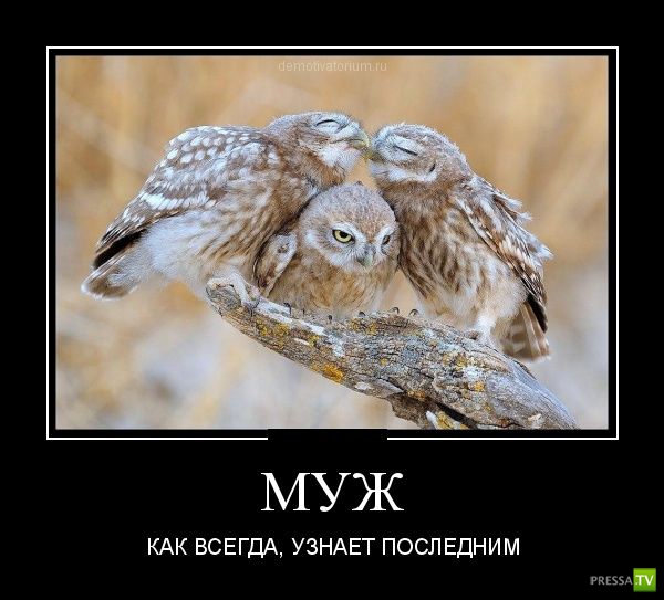 ������������ �� ������� 11 (31 ����)