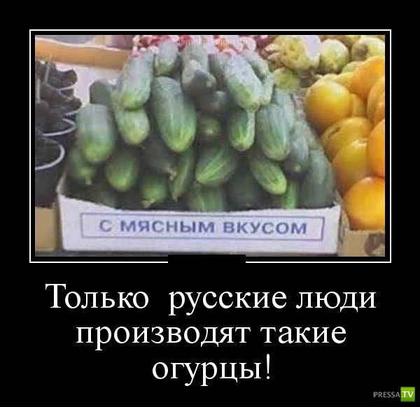 ������������ �� ������� 11 (31 ����)