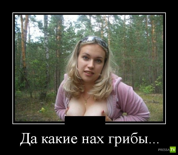 ������������ �� ������� 11 (31 ����)