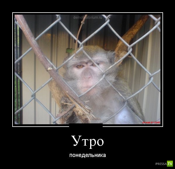 ������������ �� ������� 11 (31 ����)