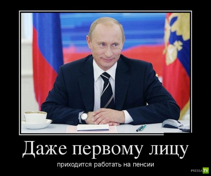 ������������ �� ������� 12 (31 ����)